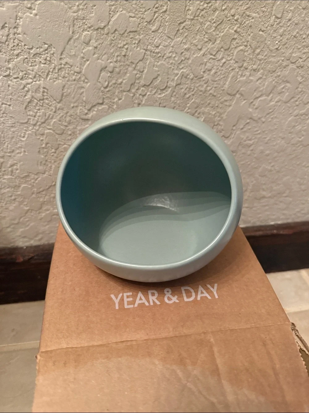 Salt Cellar